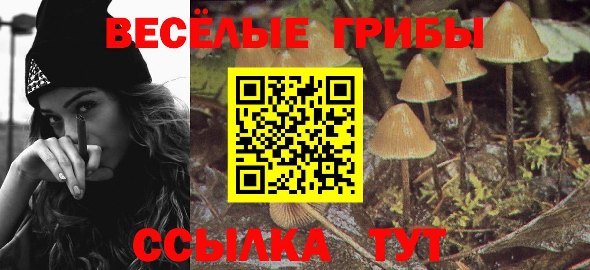 Псилоцибиновые грибы мицелий Луга