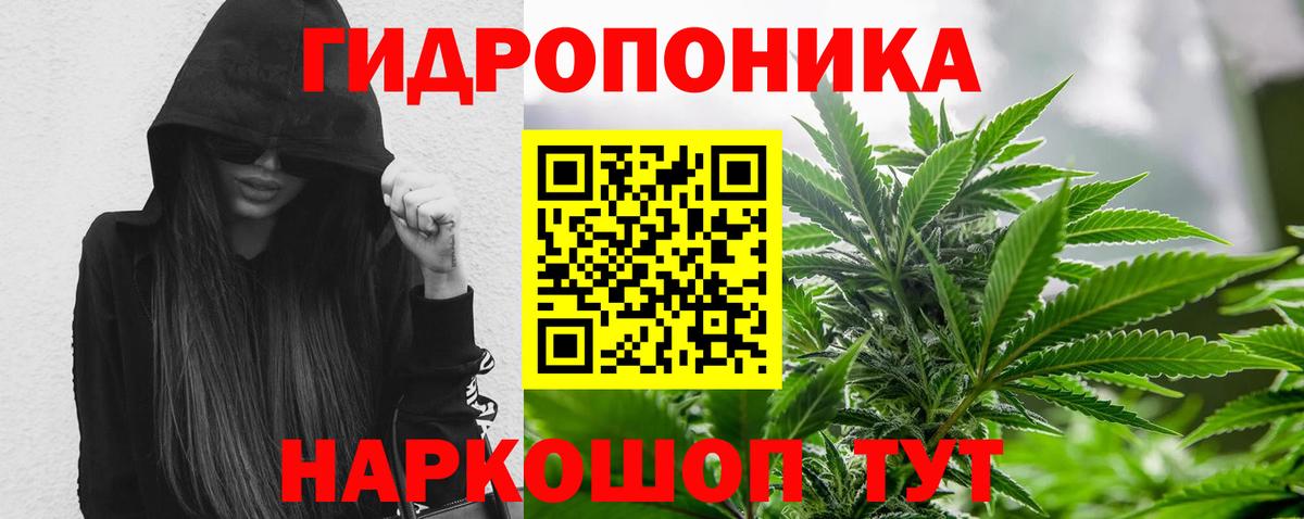 Бошки Шишки VHQ Луга